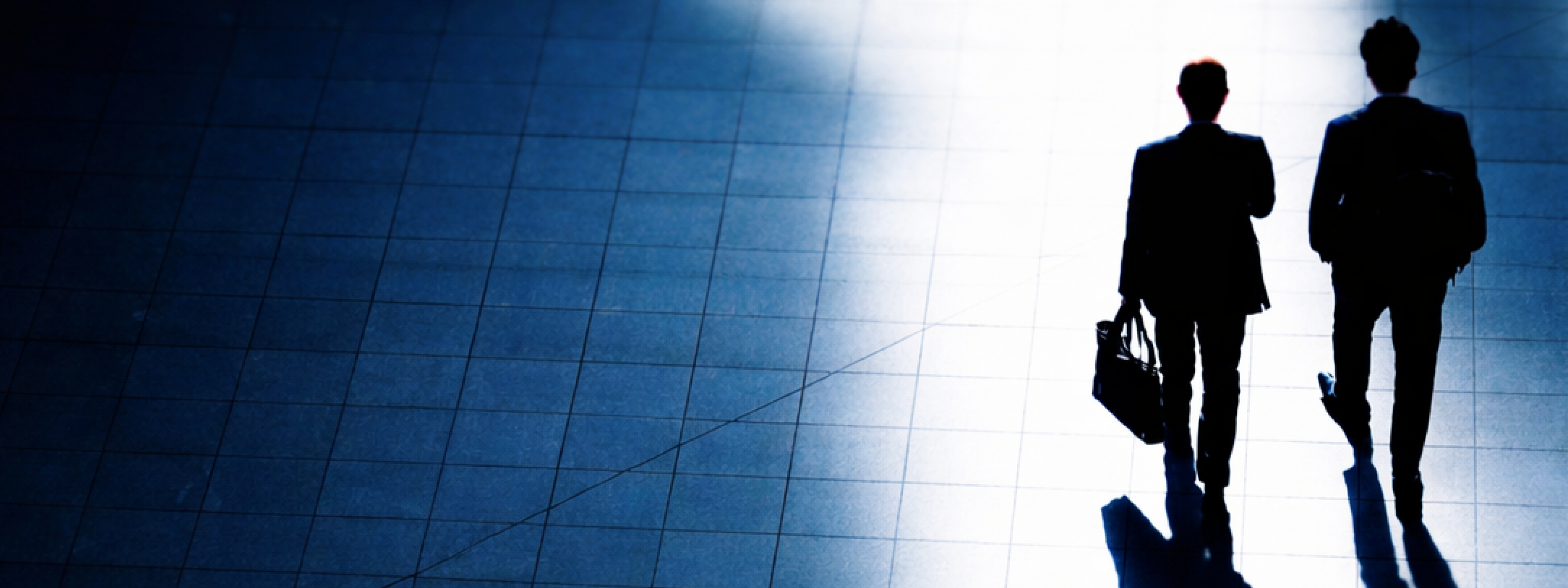 ケイパビリティイメージ